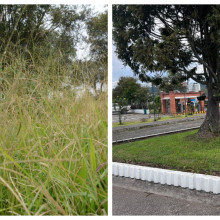 Realizan labores de rocería en el aeropuerto La Nubia de Manizales